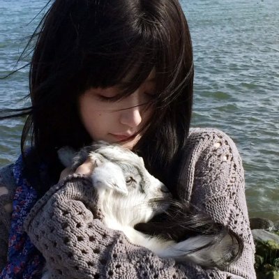 永远的831海报